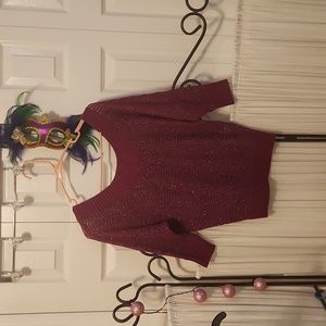 Express shimmery sweater